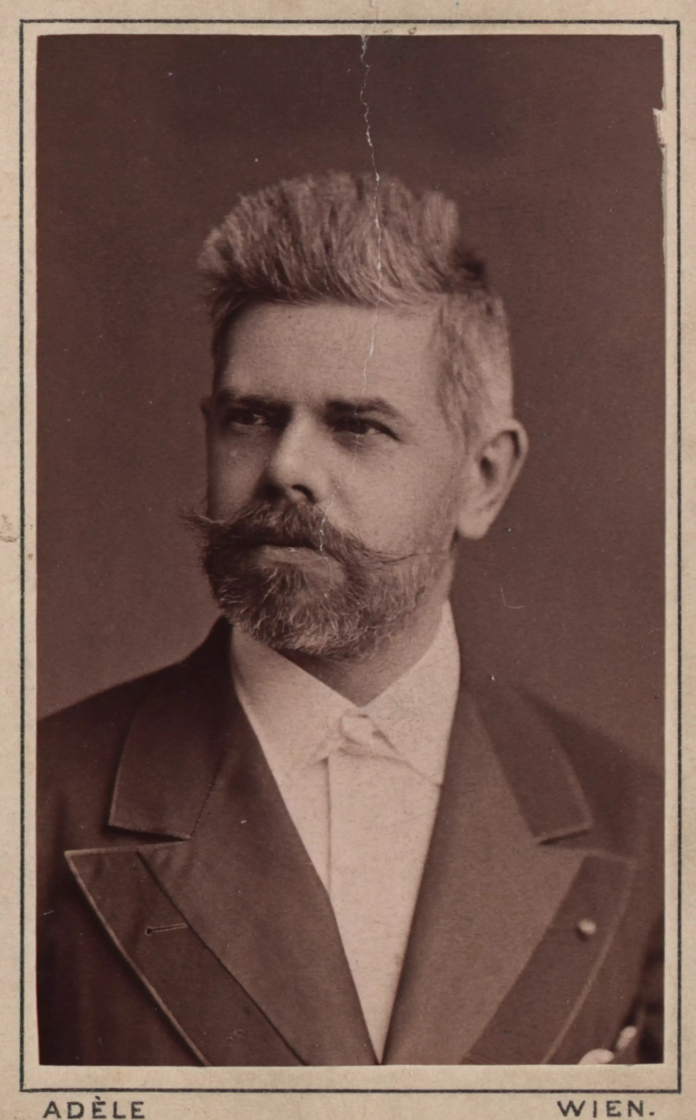 Ludwig Bösendorfer, Klavierfabrikant, 1877