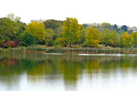 Wienerberg Recreation Area, pond and trees