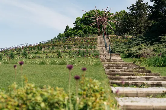 Kurpark Oberlaa, Rose Hill