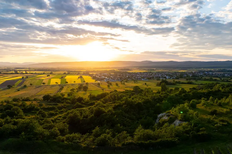 Landscape in Burgenland