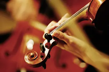 Violin player 