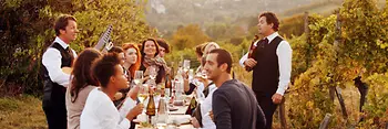 Vienna: vineyard, Wieninger am Nussberg 