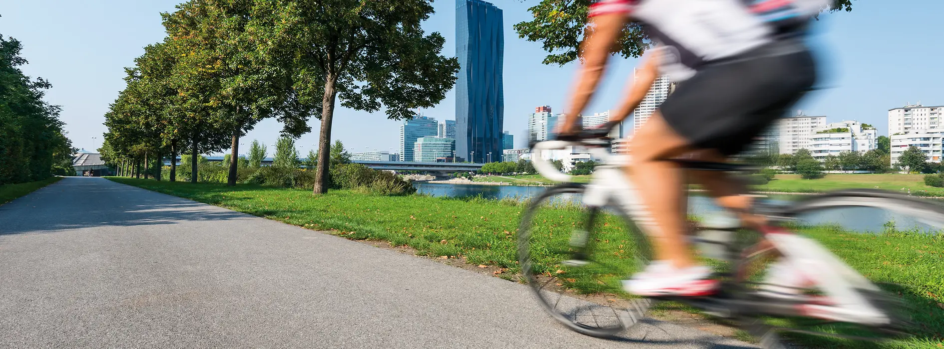 Cyclists on the Danube Island