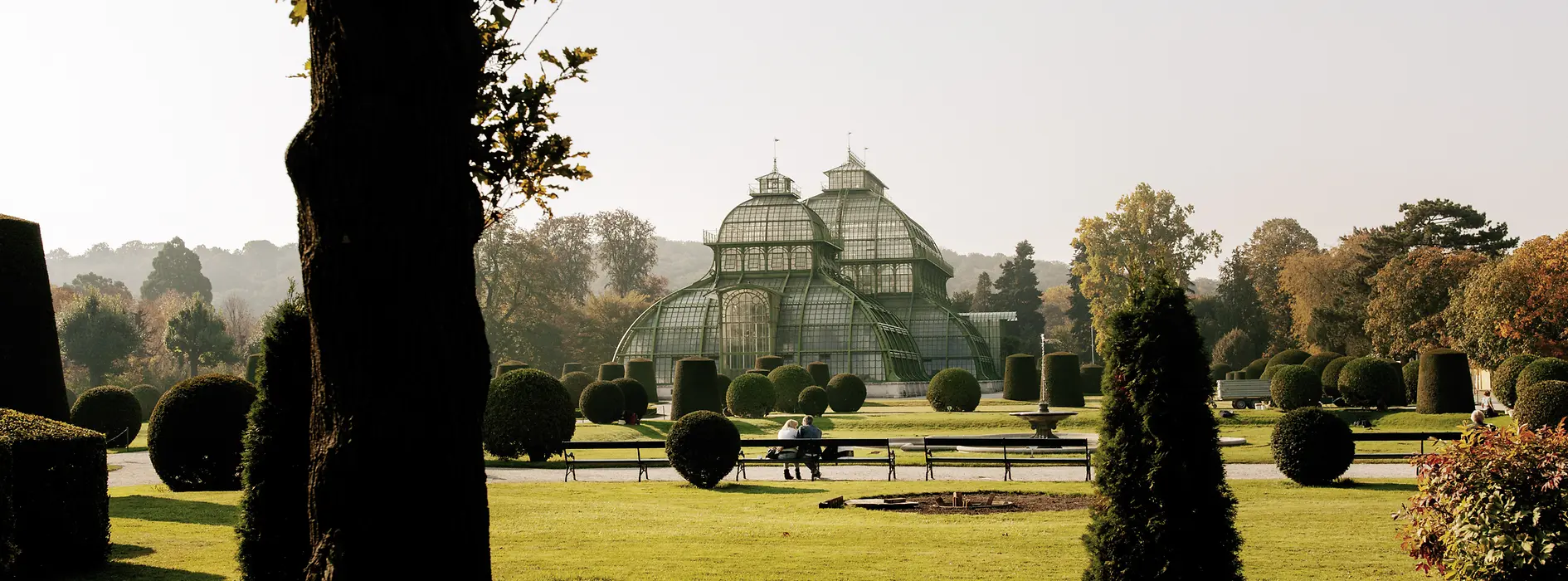 Palm House in Schönbrunn Palace Gardens 
