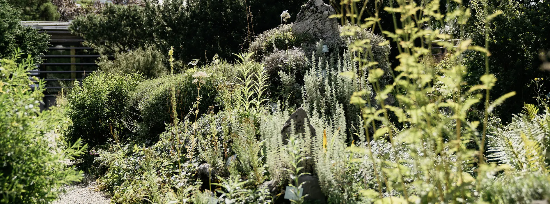 Vista sul Giardino Alpino del Belvedere