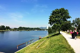Old Danube sunbathing areas