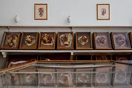 View of the exhibition with wax models in historic display cases