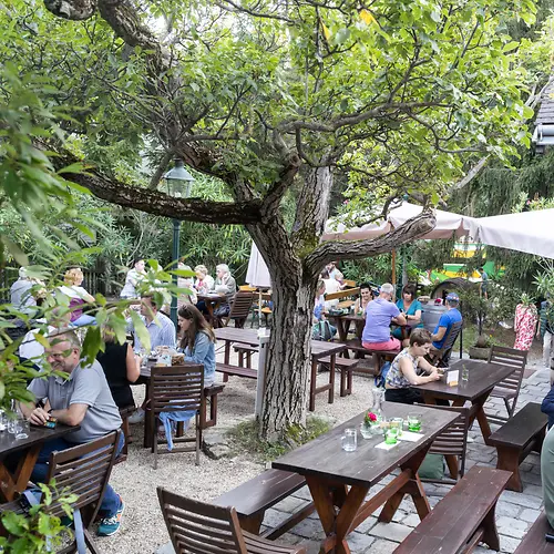 Wine tavern