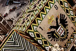 Roof of St. Stephen's Cathedral with carriages 