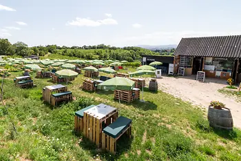 Winiarnia Mayer am Nussberg