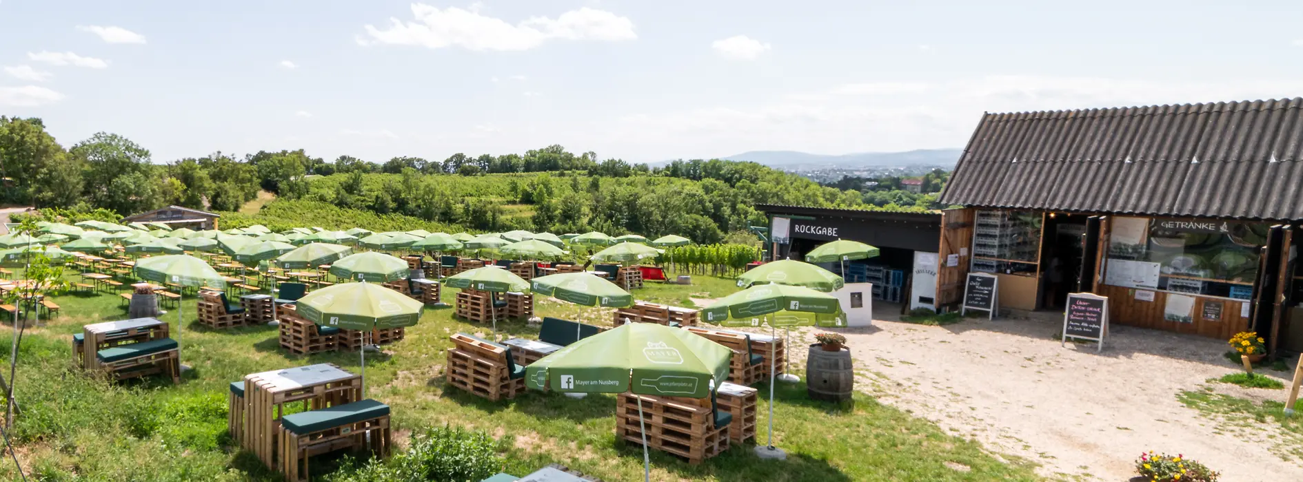 Mayer Wine Tavern on Nussberg Hill