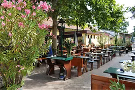Heuriger & Karl Lentner Winery, outdoor dining area with oleander bushes
