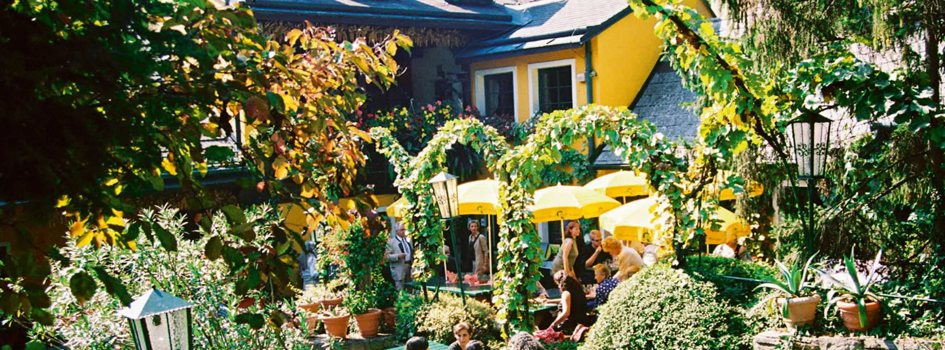 Heuriger Wolff, outdoor dining area