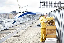 Beehives on the roof of the Hotel Daniel
