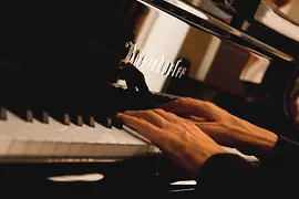 Bösendorfer piano in the Hotel Imperial, close-up of hands playing