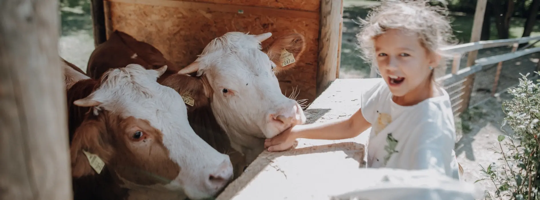 Children’s farm at Landgut Wien Cobenzl