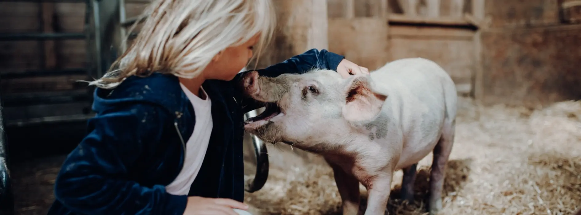 Children’s farm at Landgut Wien Cobenzl