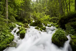 Wasserquelle in den Hochalpen