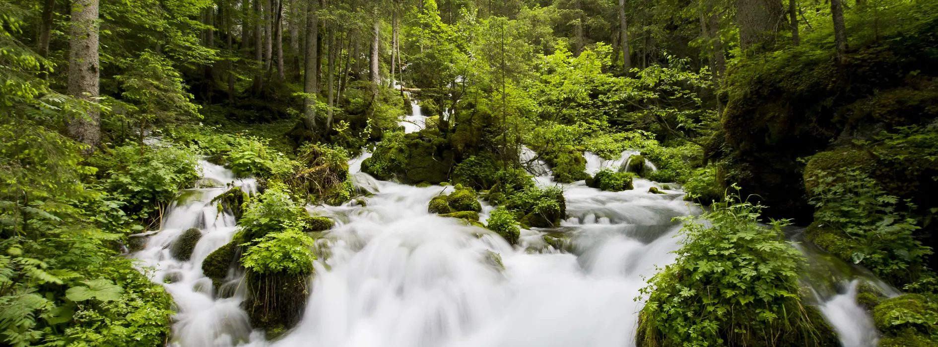 Water source in the high Alps
