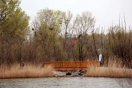 Brücke über das Schifbeet