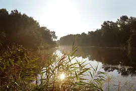 Nationalpark Donau Auen