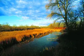 Nationalpark Donau Auen