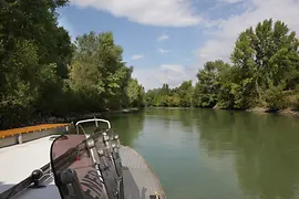Wiener Nationalparkboot in der Lobau