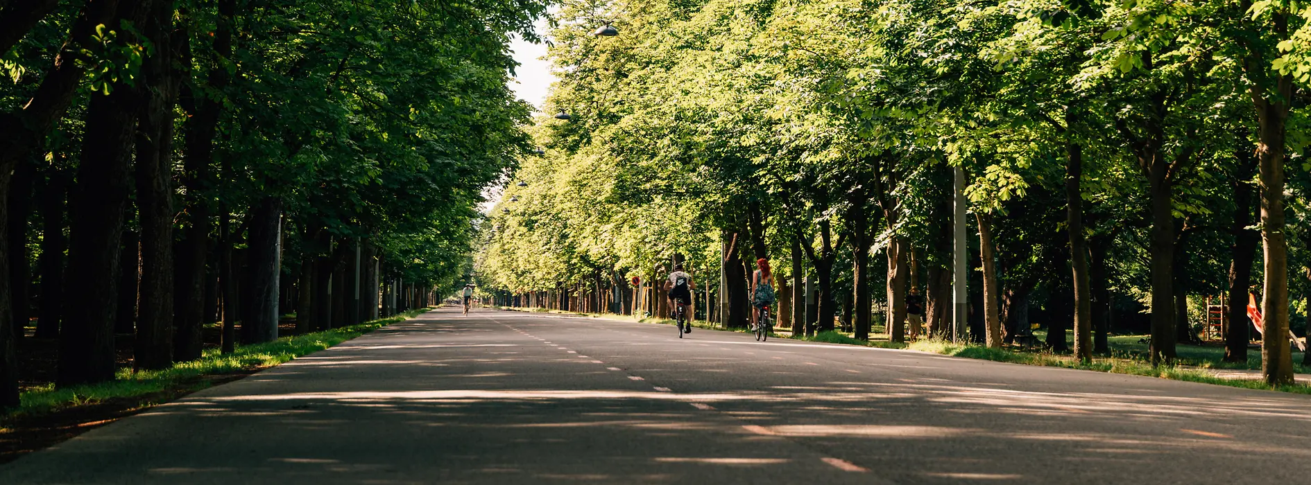 Main avenue (Hauptallee) in Prater park
