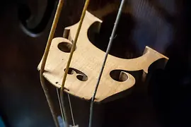 Sammlung alter Musikinstrumente, Detail Streichinstrument, Steg