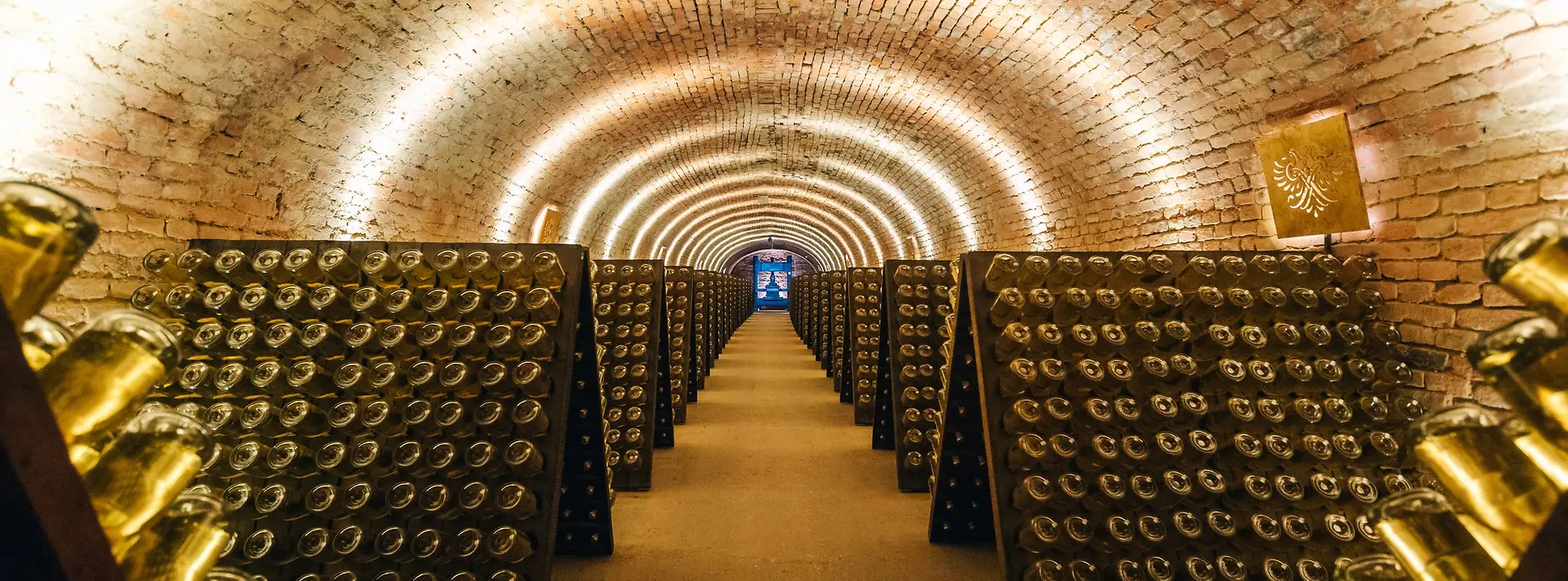 Cellar with champagne