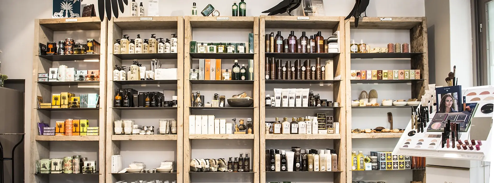 Interior view of stattGarten shop