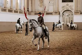 Spanische Hofreitschule
