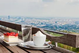 View of Vienna from a terrace