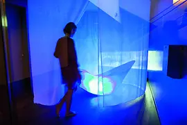 Alpha-Sphere-Liege im Ruhebereich der Therme Wien