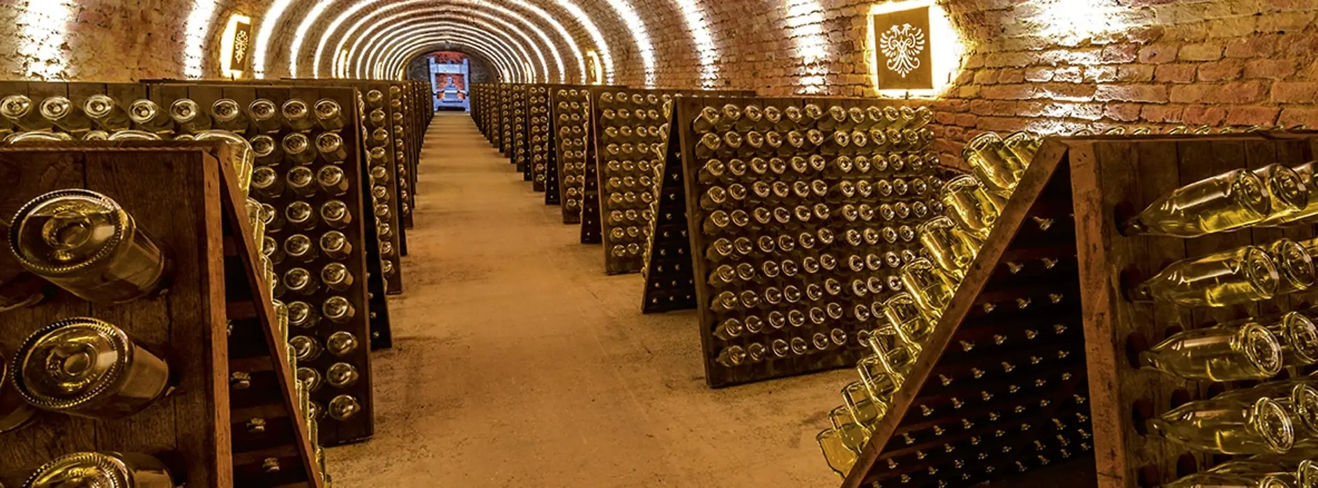 Kellergewölbe mit Flaschenlagerbasement vault with lots of bottles