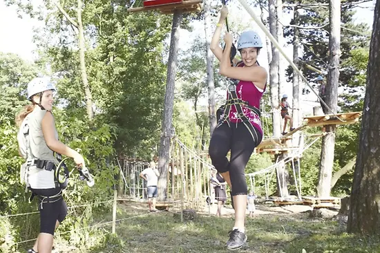 Flying Fox 