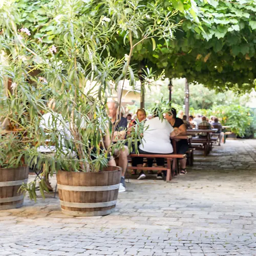 Weingut Franz Wieselthaler, garden