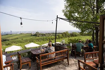 Winiarnia Wailand na wzgórzu Nussberg