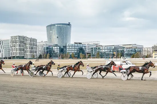 Trotting racing on the Krieau trotting track
