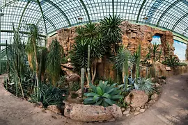 Cactus su rocce nella Casa del Deserto