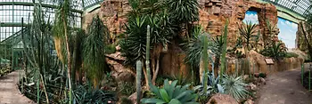 Cactus su rocce nella Casa del Deserto