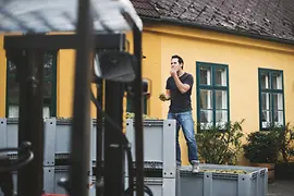 Vincellér a szőlőszüreten Bécsben