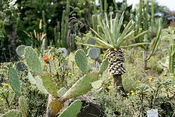 Botanical Garden