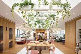 Zoku Vienna Skylight , Kindred Spirits Rooftop Bar, interior view