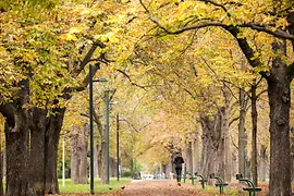 Prater Main Avenue