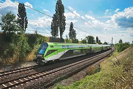 Tren verde y blanco en movimiento, árboles al fondo