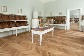 View of the exhibition with wax models in historic display cases