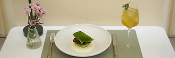 Vegetarian food