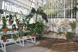 Herbsttage interior view Palm House Burggarten