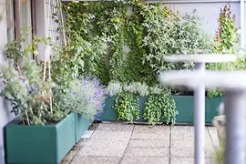 Margarete Schütte-Lihotzky Center, outdoor area